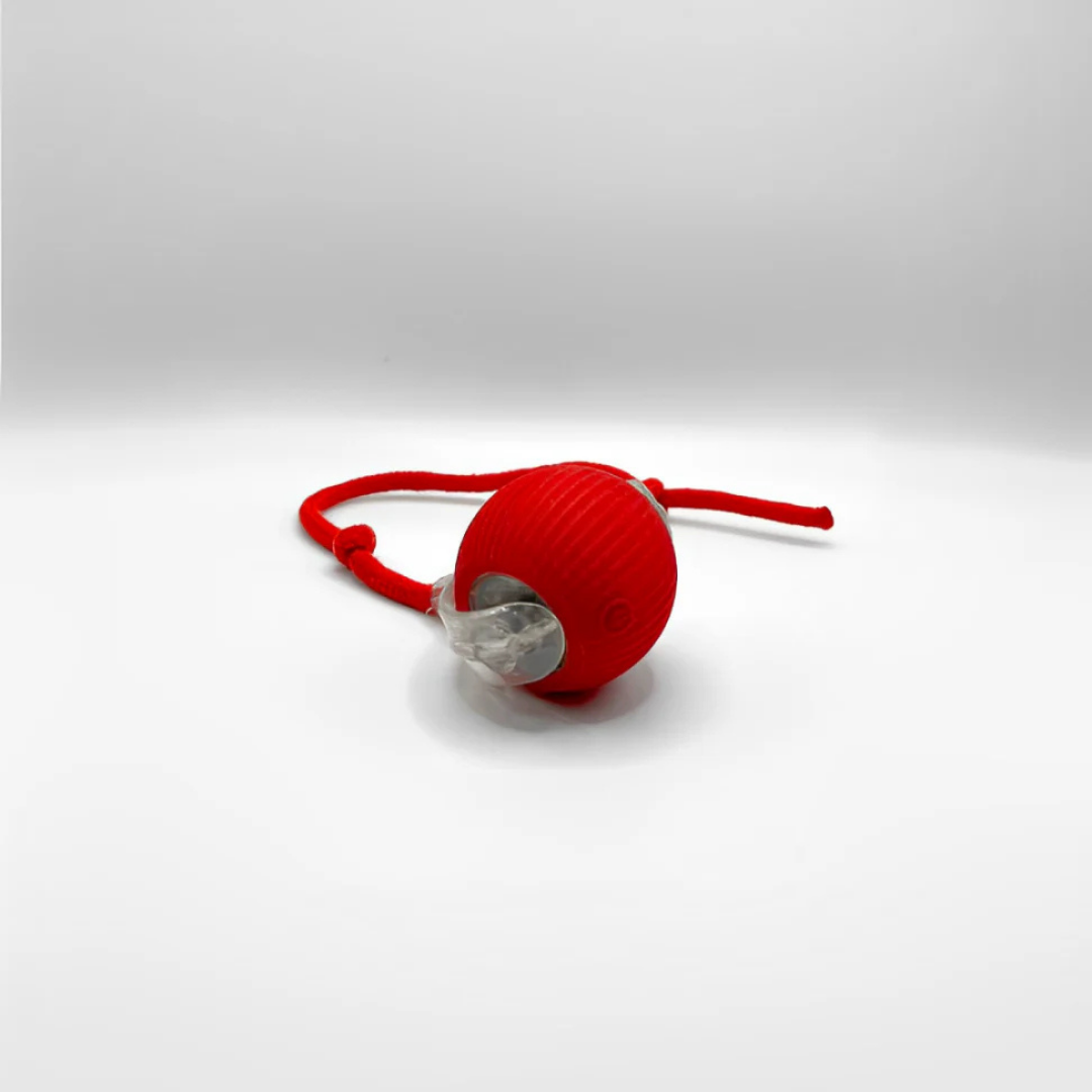 Smart Rolling PET Toy