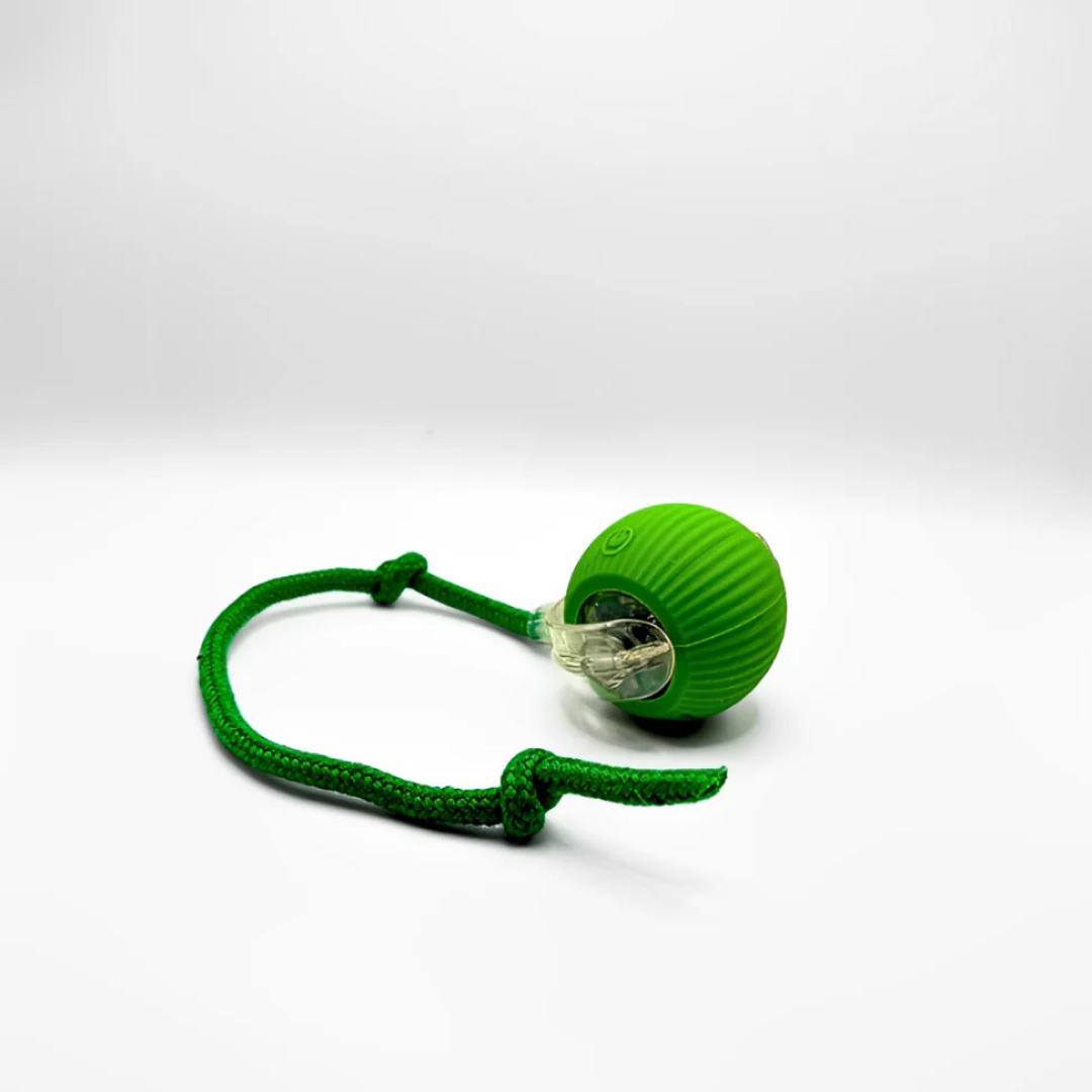 Smart Rolling PET Toy