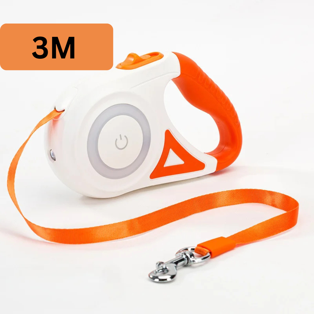 Retractable LED Dog Leash