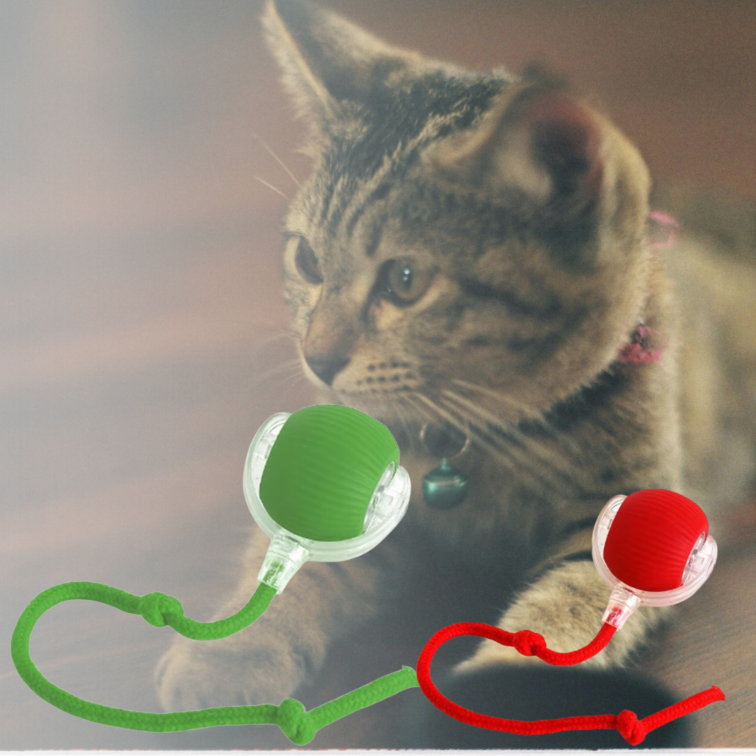 Smart Rolling PET Toy