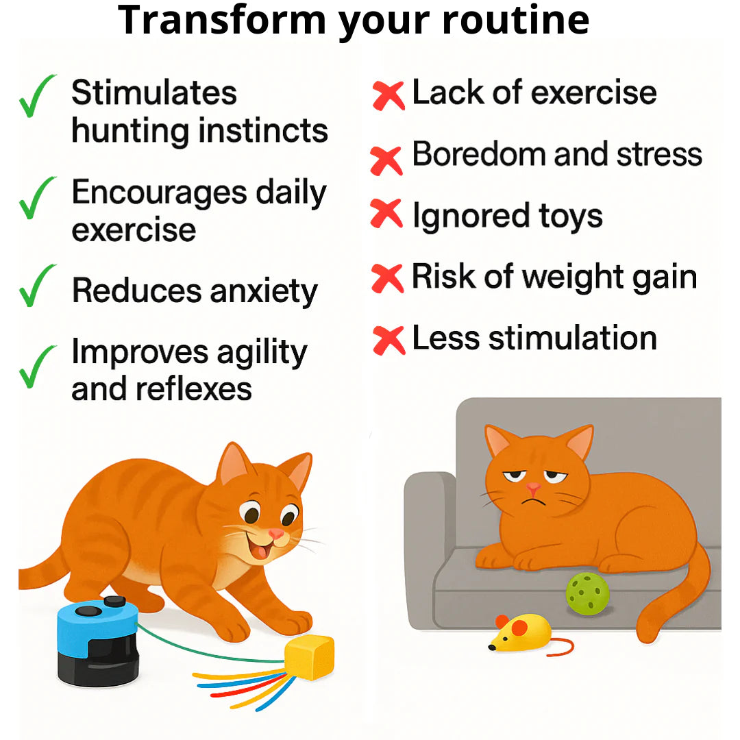 Cat Toys Interactive