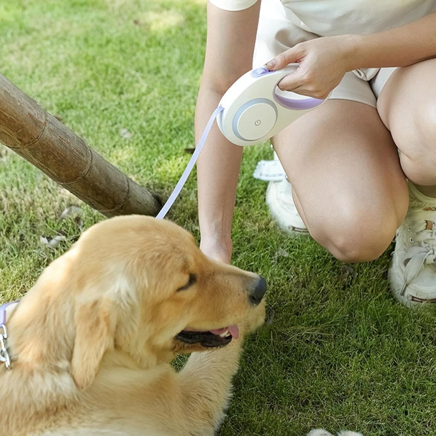 Retractable LED Dog Leash