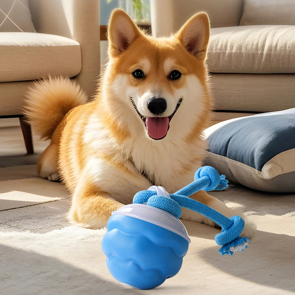 ZoomPaw™ Interactive Electric Ball for Dogs & Cats