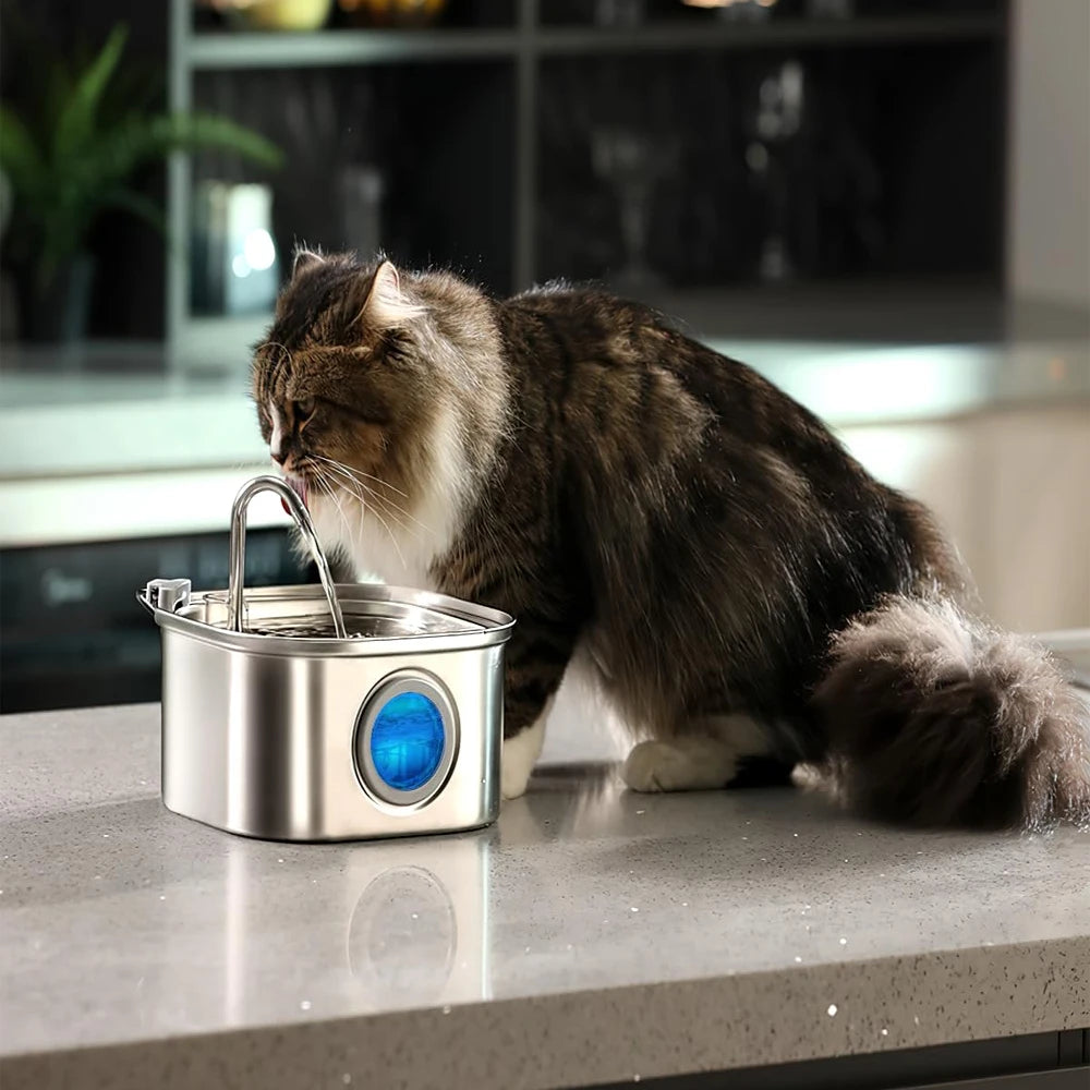 Pet Water Feeder Auto