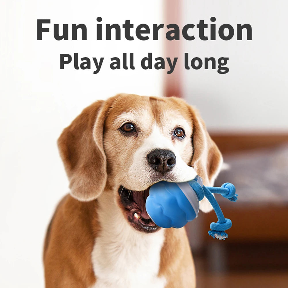 ZoomPaw™ Interactive Electric Ball for Dogs & Cats