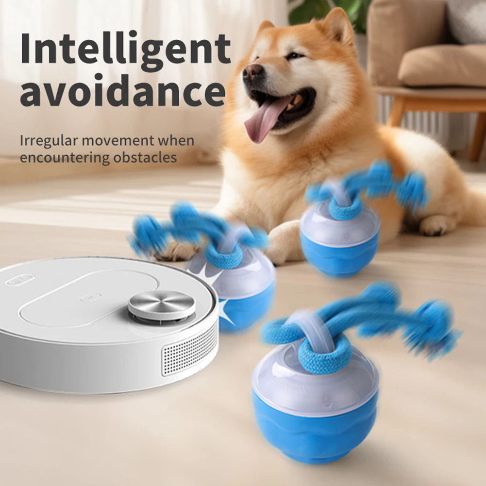 ZoomPaw™ Interactive Electric Ball for Dogs & Cats