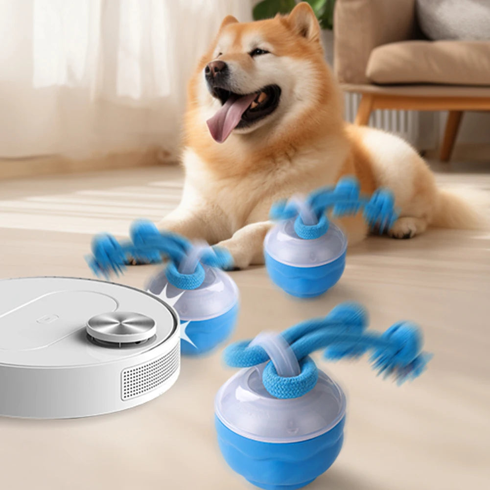 ZoomPaw™ Interactive Electric Ball for Dogs & Cats