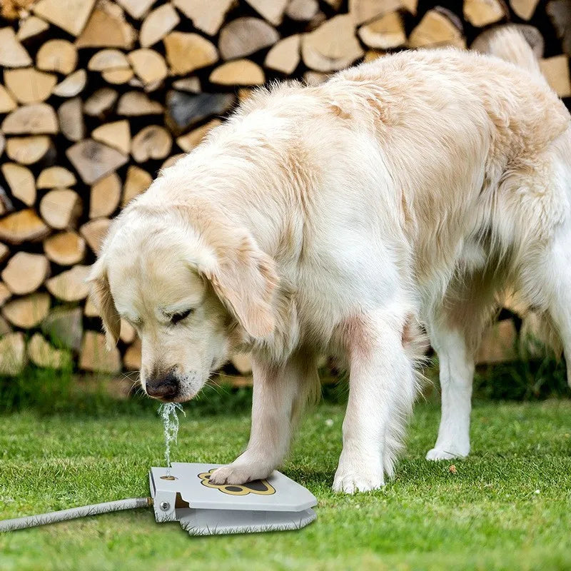 Self-Refilling Pet Water Dispenser