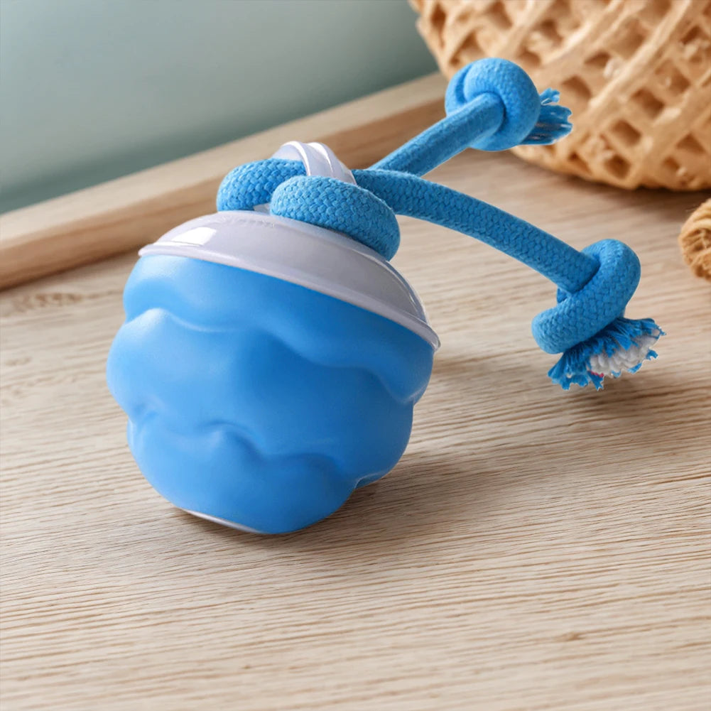 ZoomPaw™ Interactive Electric Ball for Dogs & Cats