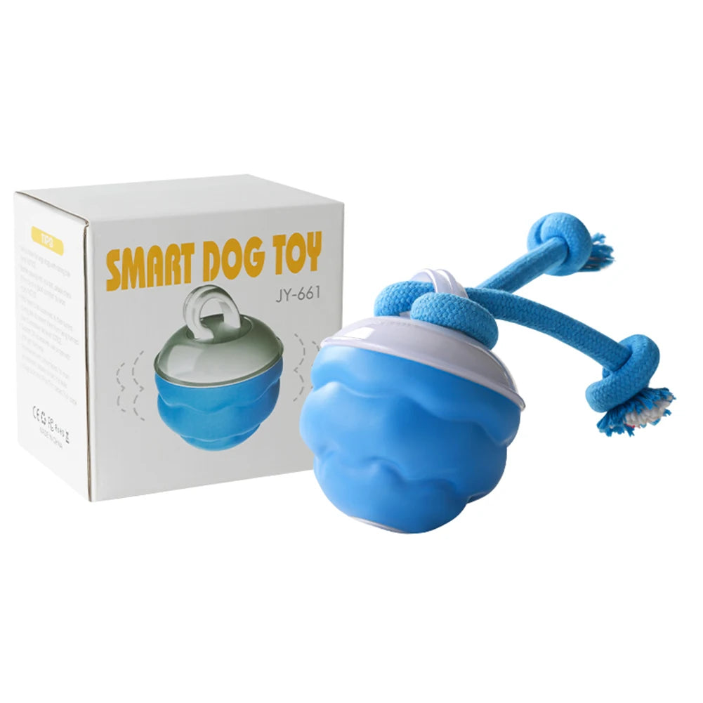 ZoomPaw™ Interactive Electric Ball for Dogs & Cats