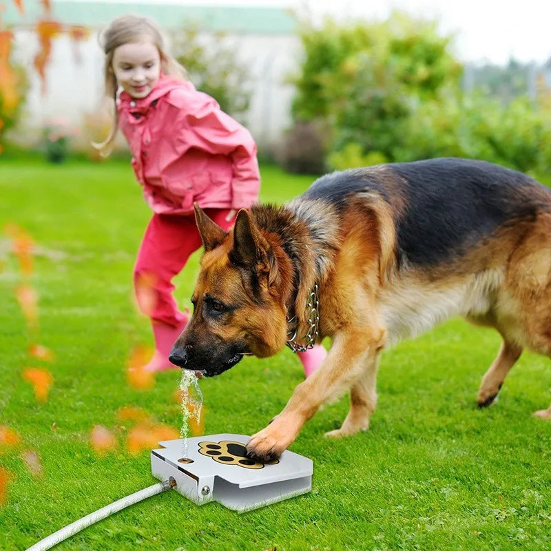 Self-Refilling Pet Water Dispenser