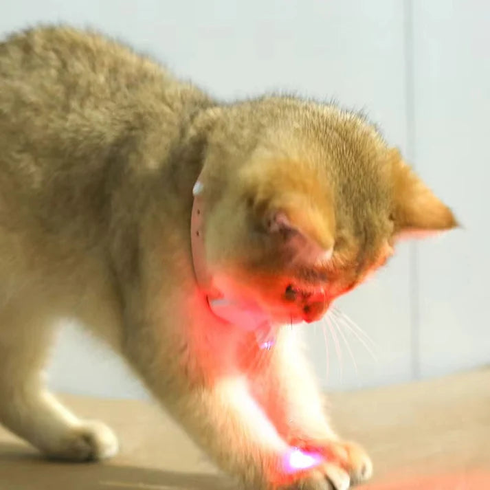 Smart Laser Cat Toy