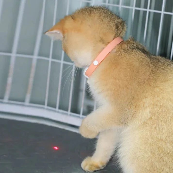 Smart Laser Cat Toy