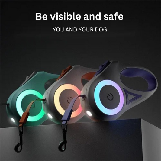 Retractable LED Dog Leash