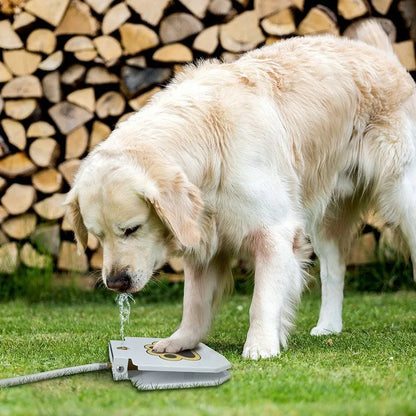 Self-Refilling Pet Water Dispenser