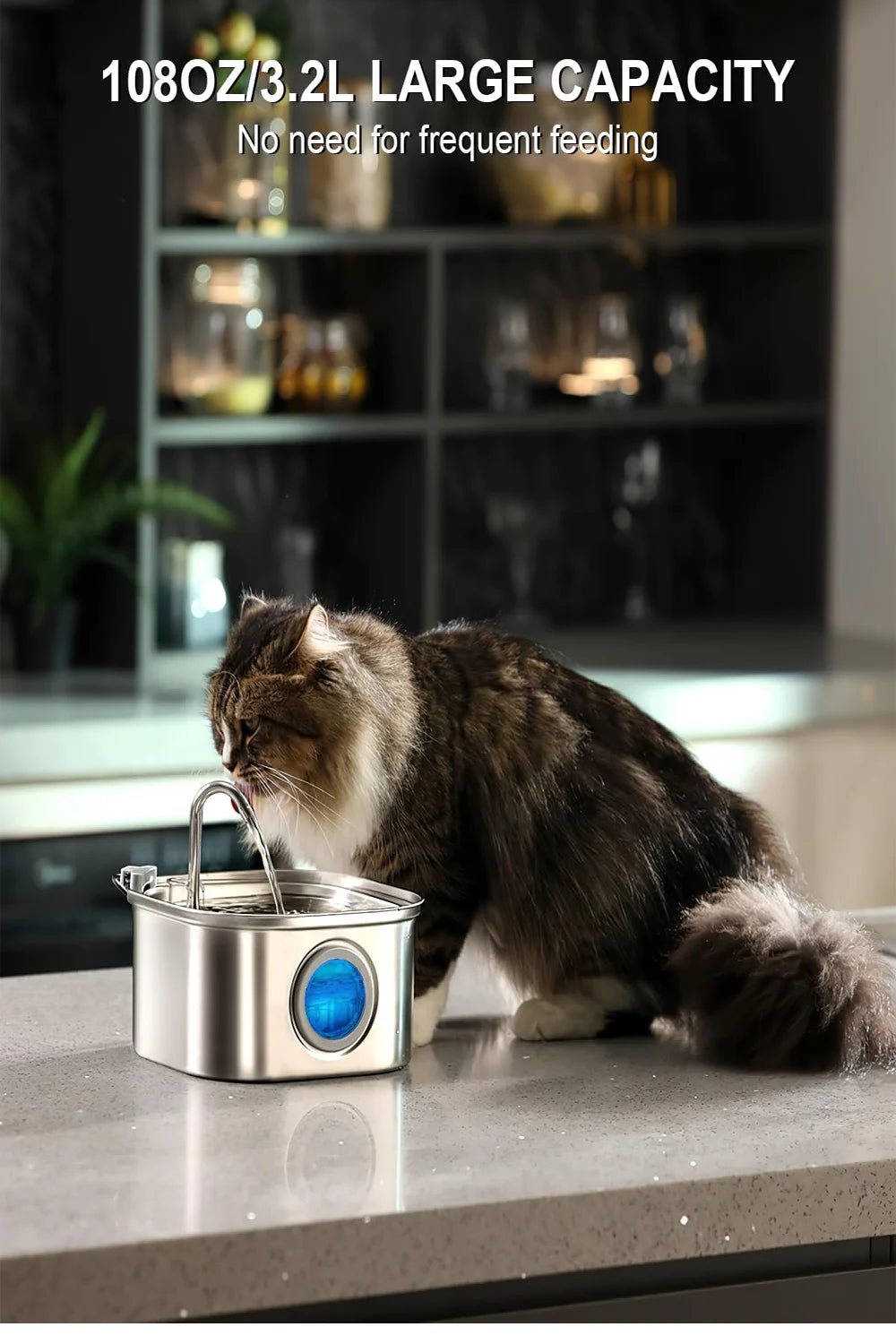Pet Water Feeder Auto