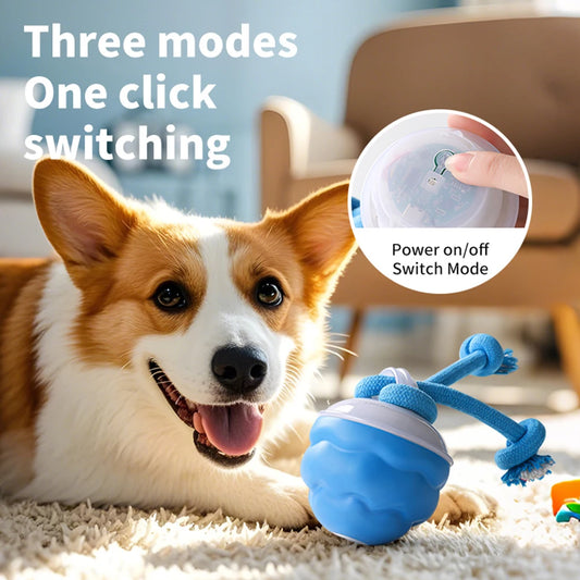 ZoomPaw™ Interactive Electric Ball for Dogs & Cats